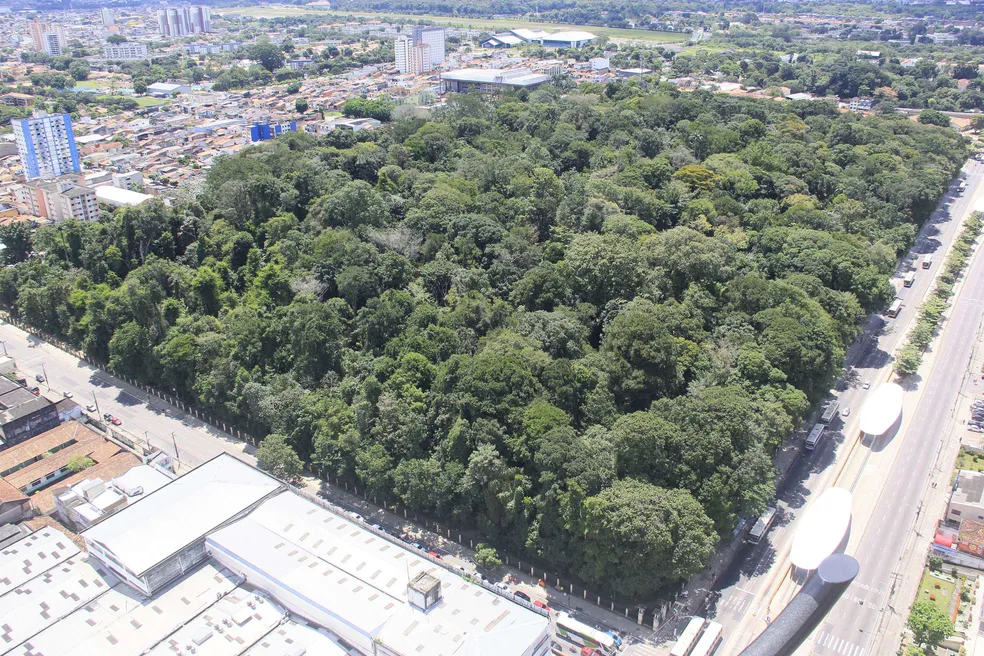 bosque2
