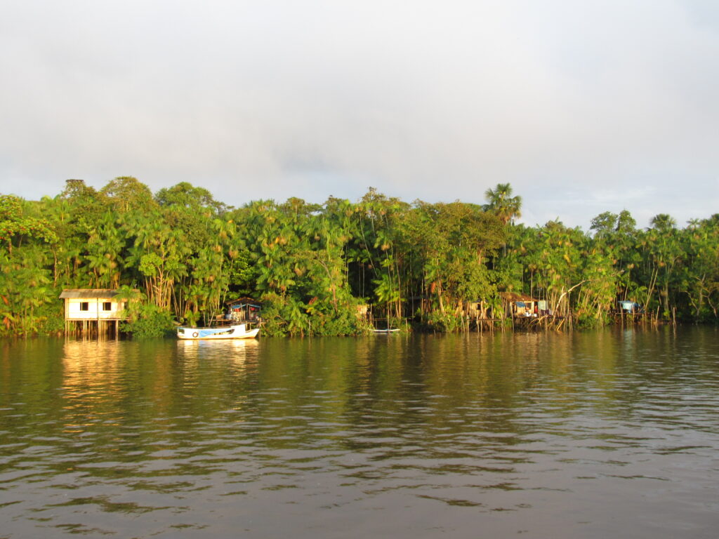 passeio-ilha-do-papagaio-a-ilha-em-si-22-04-17-13